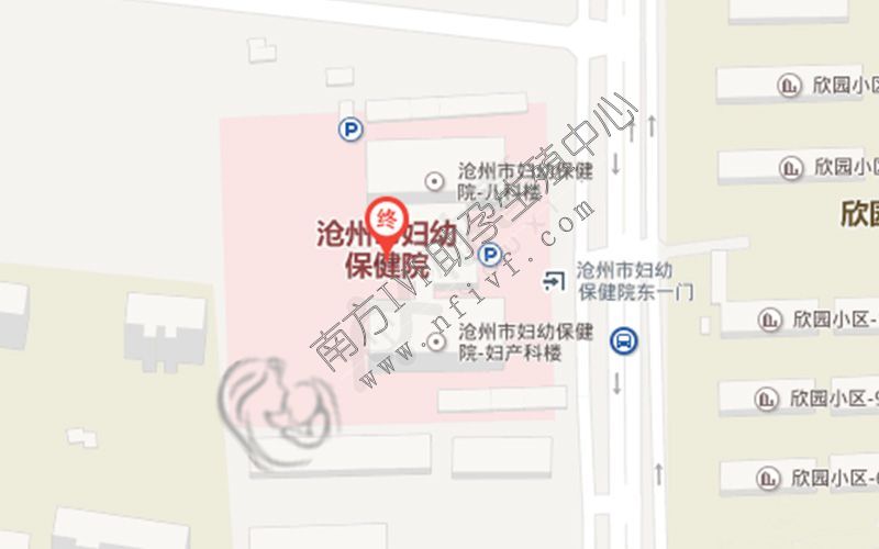 2022年河北沧州市妇幼保健院专业技术人才招聘42人公告