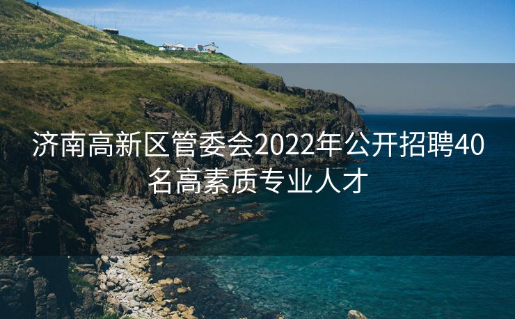 济南高新区管委会2022年公开招聘40名高素质专业人才