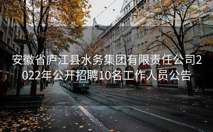 安徽省庐江县水务集团有限责任公司2022年公开招聘10名工作人员公告